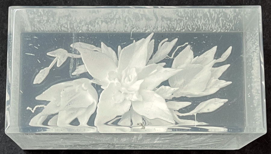 100th Ann lucite 2